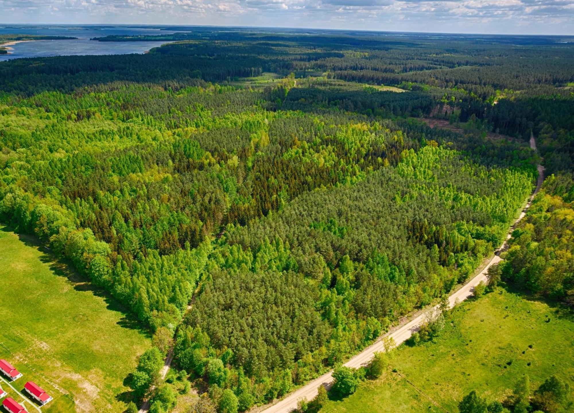 Osada Wilaneska Domki Mikolajki Mazury Екстериор снимка